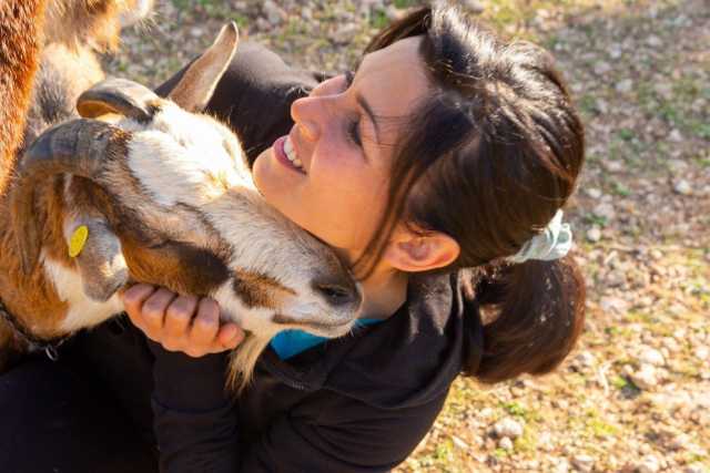 L� dove gli animali vivono liberi, salvati da macelli e allevamenti: � il "Parco Paradiso" di Mola